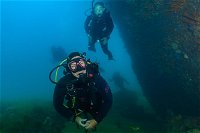 Scuba Dive The Beautiful Rottnest Island - Victoria Tourism