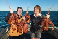 Abrolhos Islands 5 Day Tours - Tourism TAS