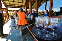 The Foodie Experience - Accommodation Whitsundays