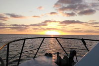 Sunset Geraldton Harbour Cruise - Whitsundays Tourism