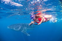 Full-Day Whale Sharks Swimming Experience on Ningaloo Reef - Redcliffe Tourism