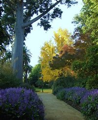 Albury Botanic Garden - Accommodation Resorts