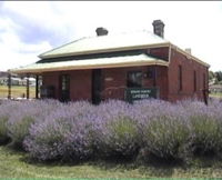 Lavender House in Railway Park - Attractions Brisbane