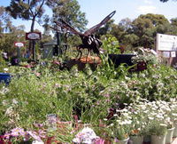 Zanthorrea Nursery - Tourism Canberra