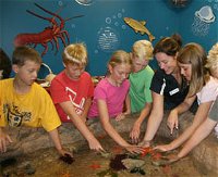 Naturaliste Marine Discovery Centre - Kingaroy Accommodation