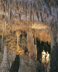 Mammoth Cave - Attractions Perth