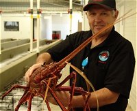 Lobster Shack - Accommodation Resorts