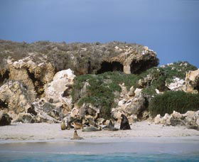 Jurien Bay WA QLD Tourism