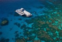 Great Adventures Reef and Green Island Cruises - Accommodation Daintree