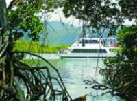 Cairns Harbour Cruises - Surfers Paradise Gold Coast