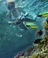 Calypso Reef Charters - Accommodation Rockhampton