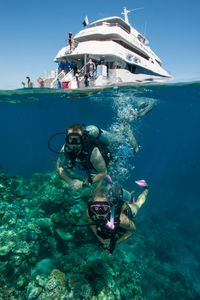 Down Under Cruise and Dive - Whitsundays Tourism