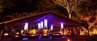 Flames Of The Forest - Accommodation Resorts