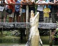 Hartley's Crocodile Adventures - Port Augusta Accommodation