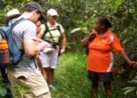 Ingan Tours - Spirit of the Rainforest Tour - Attractions Perth