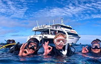 Pro Dive Cairns - Accommodation Rockhampton