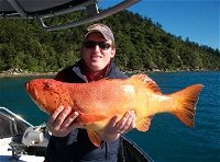Gone Fishing by Coral Sea Fishing Charters Airlie Beach - Accommodation Cooktown