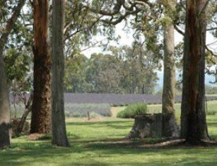 Stanthorpe QLD Find Attractions
