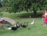 Anzac Park and Ululah Lagoon - Accommodation Rockhampton