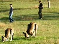 Book Rathdowney QLD Attractions Perisher Accommodation Perisher Accommodation