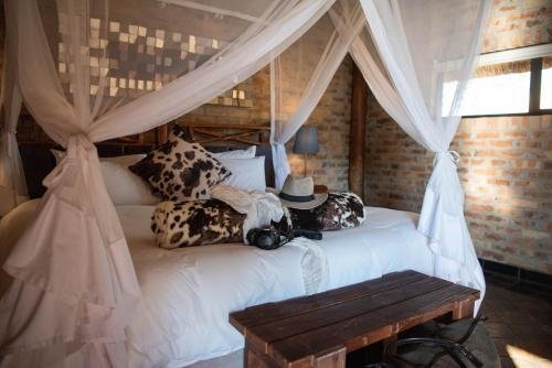 Morakane Safari Lodge Tourism Africa