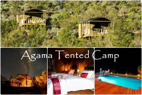 Agama Tented Camp - Tourism Africa