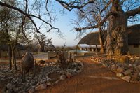 Zingela Nature Reserve - Baobab Tented Camp Tourism Africa