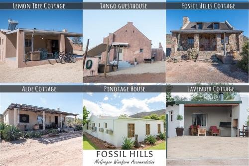Fossil Hills Tourism Africa