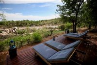 Ivory Wilderness River Rock Lodge Tourism Africa