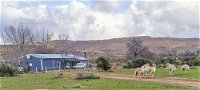Karoo Rustigheid Guestfarm its located on the farm Koornlandskloof Sutherland Tourism Africa