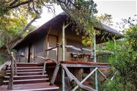 Lalibela Game Reserve Tree Tops Safari Lodge Tourism Africa