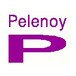 Pelenoy Constructions Pty Ltd