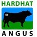 Hardhat Angus - Builders Sunshine Coast