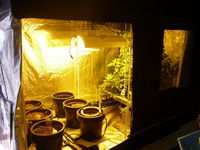 HydroCentre Hydroponics - Click Find