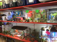 PJs Pet Barn - Qld Realsetate