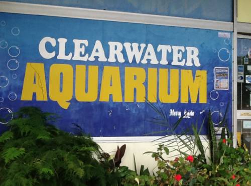 Clearwater Aquariums - thumb 2