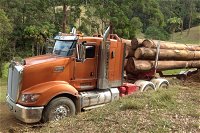 Log Check Forestry - Click Find