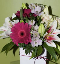 Flowers by Elise - Seniors Australia