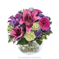 Boydita Flowers Delivered - Internet Find