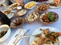 Taste Of The Middle East - Australian Directory