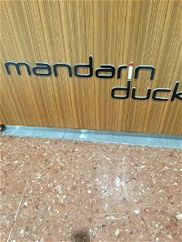 Mandarin Duck - Internet Find