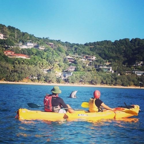 Cape Byron Kayaks - thumb 2