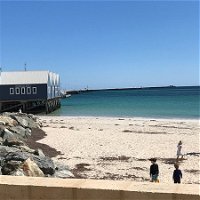 The Goose Bar  Kitchen - Australian Directory