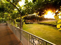 Capel Vale Winery  Match Restaurant - Seniors Australia