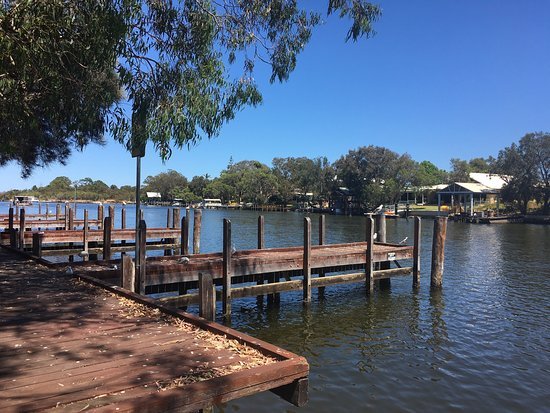 Pelicans Cafe On The Murray - thumb 0