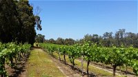 Stringybark Cottage Winery  Restaurant - Australian Directory