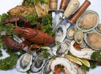 The Oyster Farm Shop - Australian Directory