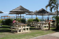 Beach Cafe - DBD