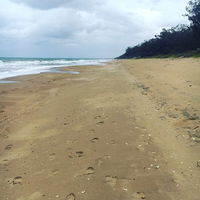 Moore Park Beach Queensland - Internet Find