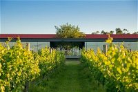 Oakridge Wines - Seniors Australia